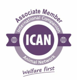 ICAN Logo