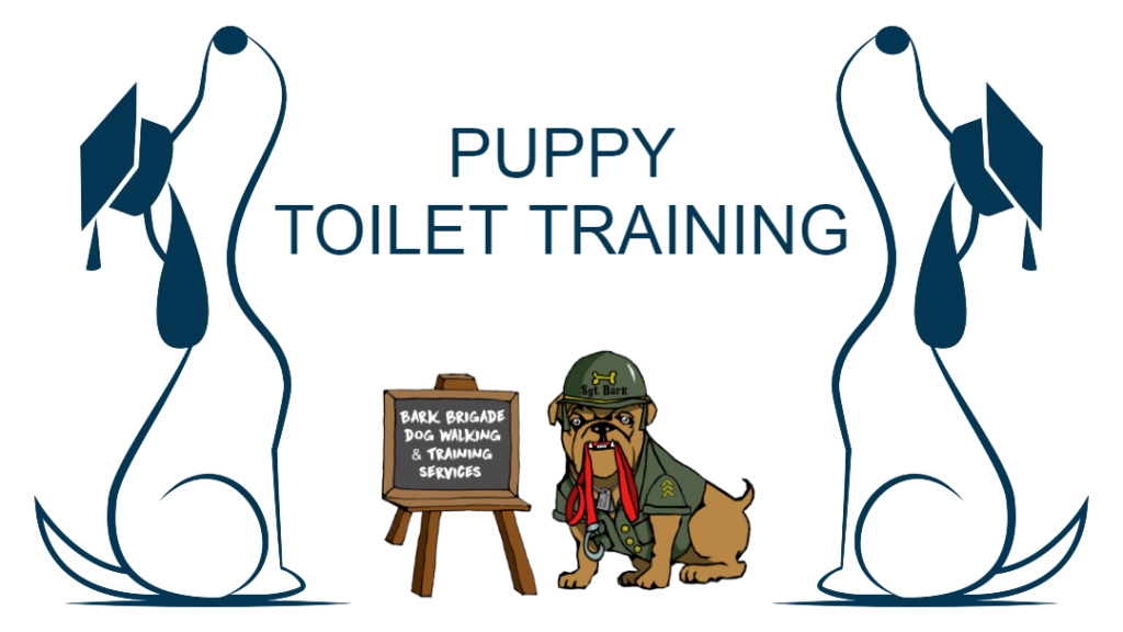 Puppy Toilet Training